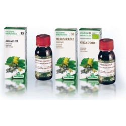 Specchiasol Tintura Madre di Tarassaco - Depurativo 28 per il Fegato 50 ml