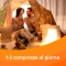 Voltadvance 25 mg antidolorifico - 20 compresse rivestite