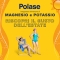 Polase Classico 2 x 60 Compresse - Integratore per stanchezza e affaticamento