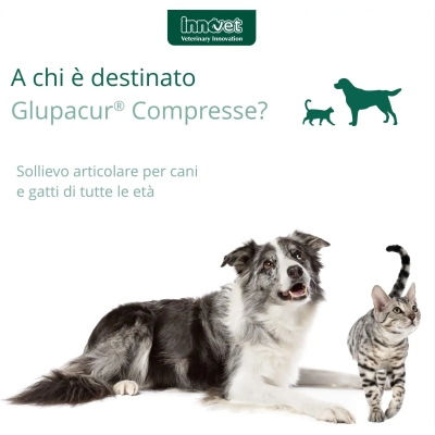Glupacur 30 compresse - Mangime supplementare per cani e gatti (Confezione Ammaccata)