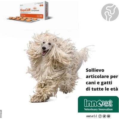 Glupacur 30 compresse - Mangime supplementare per cani e gatti (Confezione Ammaccata)