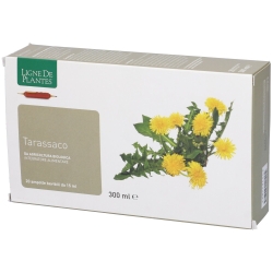 Tarassaco 20 Ampolle da 15 ml - Integratore per la digestione il fegato e la depurazione