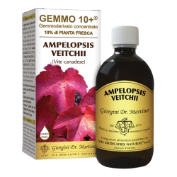 Gemmo 10+ Liquido Analcolico Ampelopsis Veitchi Vite Canadese 500 ml - Integratore per le articolazioni
