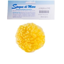 Spugna di Mare Naturale Misura media