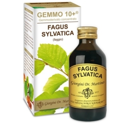 Faggio Analco Gemmo 10+ - Integratore per la diuresi 100 ml