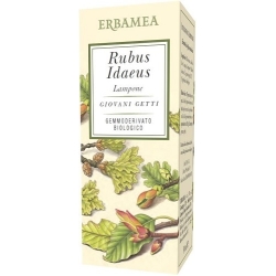 Erbamea Rubus Idaeus Lampone Bio 50 ml - Integratore per il benessere generale
