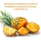 Optima Naturals Bromelina Gambo D'Ananas 30 Compresse - Integratore per il drenaggio dei liquidi e il microcircolo