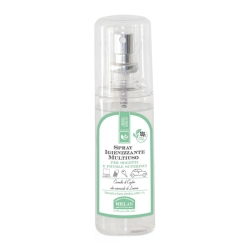Spray Igienizzante Multiuso 100 ml
