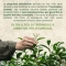 Optima Naturals Tea Tree - Spray Controllo Alito 30 ml