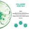 Equilibra Collagene Vegetale - Crema Viso Antirughe Rimpolpante 50 ml