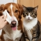 40 Salviette Profumate Per Cani, Gatti e Animali Domestici