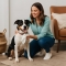 40 Salviette Profumate Per Cani, Gatti e Animali Domestici