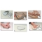Happy Hands-  Kit Impronta  Mani e Piedi con Scatola di Latta