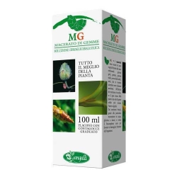 Frassino Macerato Glicerico 100 ml - Integratore drenante e diuretico