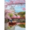 Puzzle Collection - Himeji Castle in Spring - Puzzle per adulti da 1000 Puzzle Verticale 70x50 cm