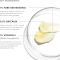 SkinCeurticals Resveratrol B E - Siero antiossidante notte per il trattamento di rughe e perdita di tono 30 ml