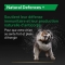 PURINA Pro Plan Supplements Natural Defences + - Alimento complementare per cani adulti 45 tavolette