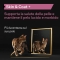 PURINA Pro Plan Supplements Skin & Coat Salmone - Alimento complementare per gatti adulti per pelle e pelo 150 ml