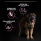 Purina Pro Plan Optiderma Salmone - Alimento completo per cani adulti large robust pelle sensibile 14 kg