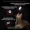 Purina Pro Plan Vital Functions Salmone - Alimento completo per gatti adulti sterilizzati 10 kg