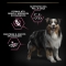 Purina Pro Plan Salmone - Alimento completo per cani anziani M/L pelle sensibile 14 kg