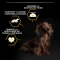 Purina Pro Plan Small Mini Adult Light Sterilised Pollo - Alimento per cani adulti piccoli/mini light o sterilizzati 3kg