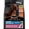 Purina ProPlan Adult Large Athletic Sensitive Skin Salmone - Alimento completo cani adulti sensibili 14 Kg