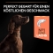 Purina ProPlan Adult Large Athletic Sensitive Skin Salmone - Alimento completo cani adulti sensibili 14 Kg