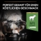 Purina ProPlan Sensitive Digestion Agnello - Alimento completo per cani adulti taglia media con dig sensibile 3 Kg