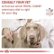 Hepatic - Alimento completo per cani con insufficienza epatica 7 kg