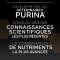 Purina Pro Plan Kitten Optistart Pollo - Alimento completo secco per gattini e madri 10 kg