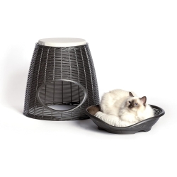 Pasha - Cuccia Design Intrecciato Trasformabile in Seduta per Gatti e Cani Piccola Taglia Antracite 52x50x46-55h cm