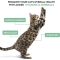 gatto Tonnetto con Manzo - Alimento umido completo per gatti adulti 300 gr