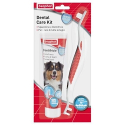 Dental Care Kit - Spazzolino e Dentifricio