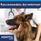 Adaptil Calm - 3 Ricariche per Diffusore con Feromoni per la Serenità del Cane 60 ml