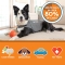 Thundershirt - Cappottino Calmante Antistress e Antiansia per Cane Taglia XS Grigio