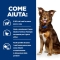 Prescription Diet Metabolic Agnello e Riso - Mangime Secco Per cani adulti per il mantenimento del peso 10 kg