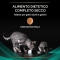 Purina Pro PlanVeterinary Diets - Alimento completo per gatti adulti e gattini con disturbi intestinali 1,5 Kg
