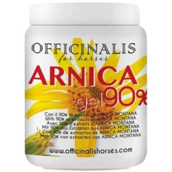 Arnica Gel 90% - Gel Rinfrescante per Muscoli, Tendini e Articolazioni 1000 ml