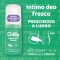 CHILLY Deodorante Intimo Fresco pH5 con mentolo e prebiotici 50 ml