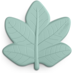 Suavinex Massaggiagengive per bambini +0m in silicone a forma di foglia