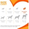 Puppy Teething Keys - Chiavi Masticabili per Cuccioli per la Dentizione Gusto Bacon Small