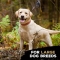 Tasty Bone Beef - Osso Masticabile per Cani Gusto Manzo Large