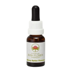 Grey Spide Australian Bush Flower Essences Gocce 15 ml - Integratore terrore, panico e incubi