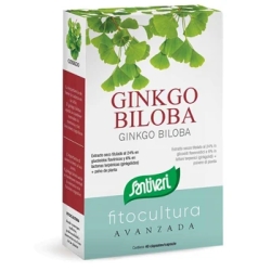 Ginkgo Biloba 40 Capsule - Integratore Per La Memoria, Le Funzioni Cognitive E La Circolazione Sanguigna