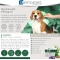 Pyo Spot-Dog 10-20 kg - 4 Pipette per Cani