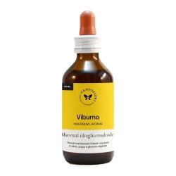 Viburno Gemme 100 ml