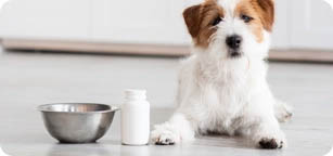 Categoria-Cani Farmaci e Antiparassitari
