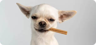 Categoria-Cani Snack e Masticativi