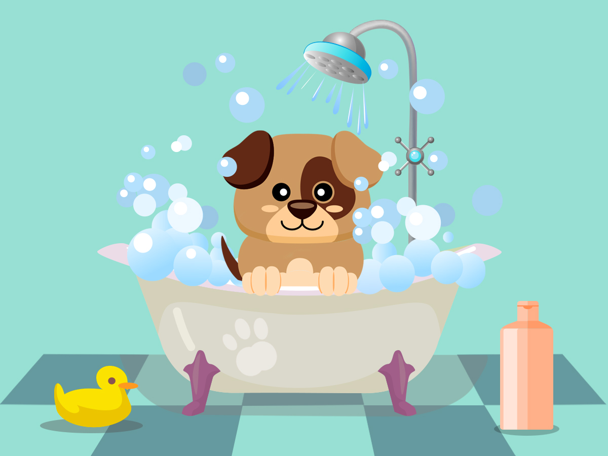 Quando e come lavare il cane in casa?